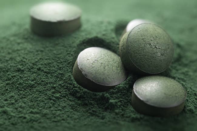 spiruline en poudre